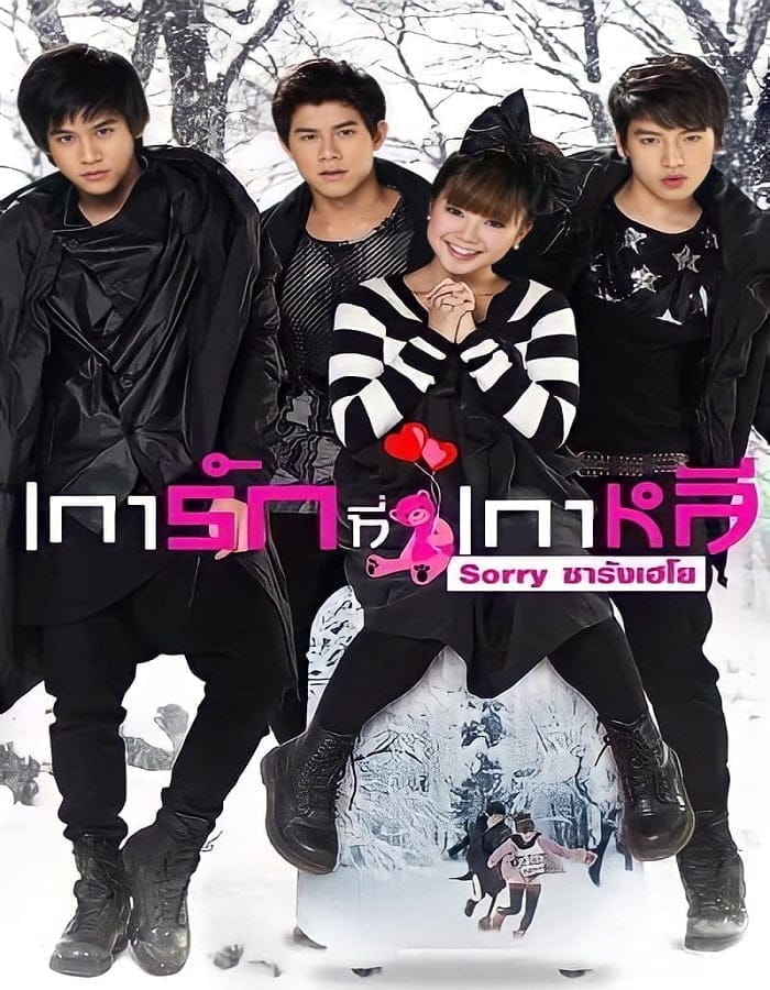 Sorry Saranghaeyo (2010) เการักที่เกาหลี ซอร์รี ซารังเฮโย